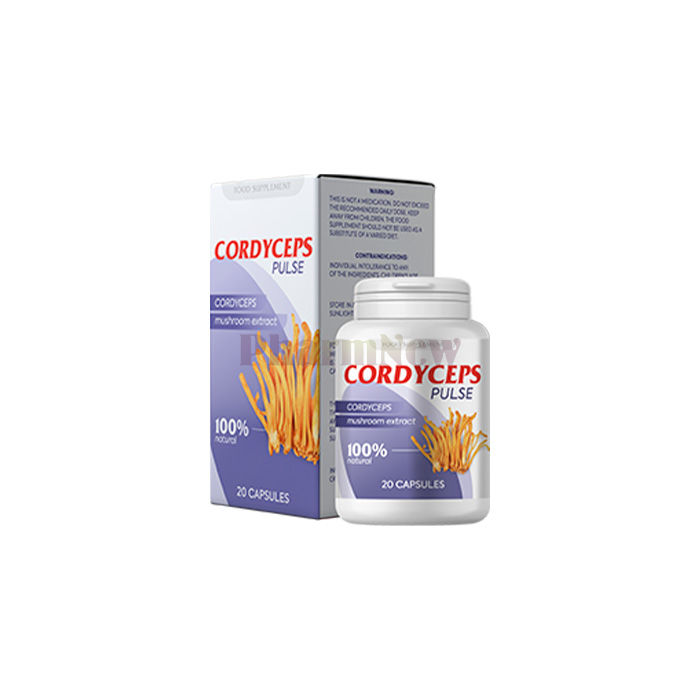 Cordyceps Pulse