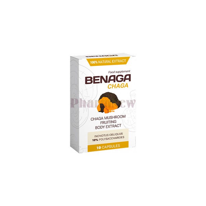 Benaga Chaga